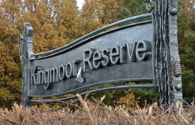 Kingmoor Reserve